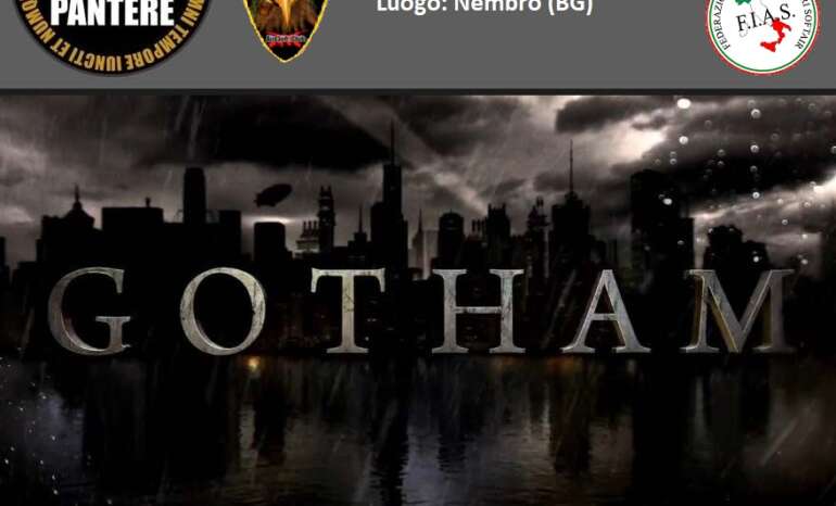 Locandina Op. Gotham